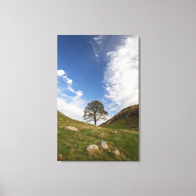 Impression de toile étirée Sycamore Gap (Recto)