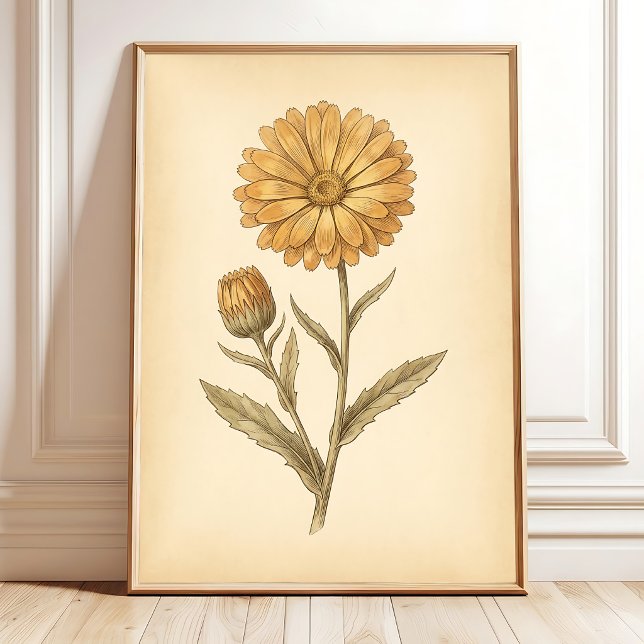 Impression de toile Fleur de Calendula (Créateur téléchargé)