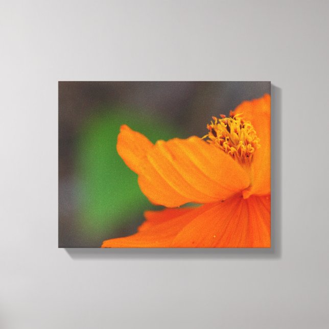Impression de toile florale orange (Recto)