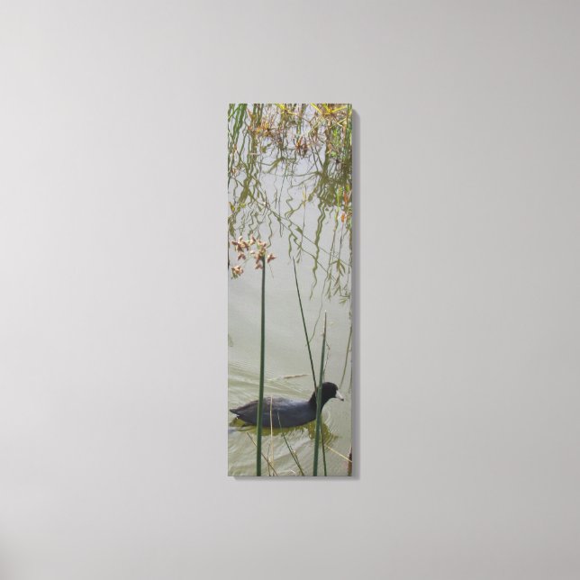 Impression de toile - Hen boue dans les roseaux (Recto)