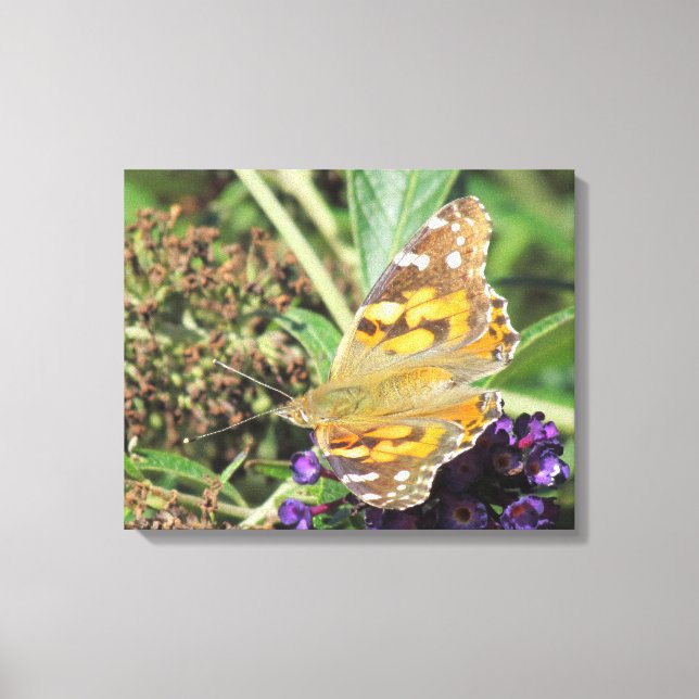 Impression de toile - Papillon orange (Recto)