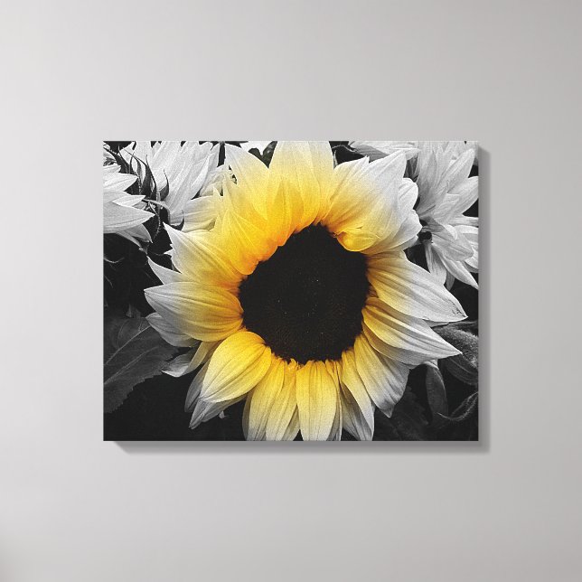 Impression de toile - Tournesol (Recto)