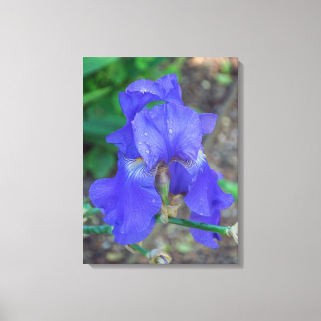 Impression de toile vue fleur iris bleu (Recto)