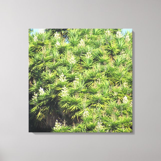 Impression de toile - Yucca Plantes (2 panneaux) (Recto)