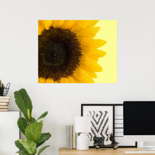 Impression de tournesol