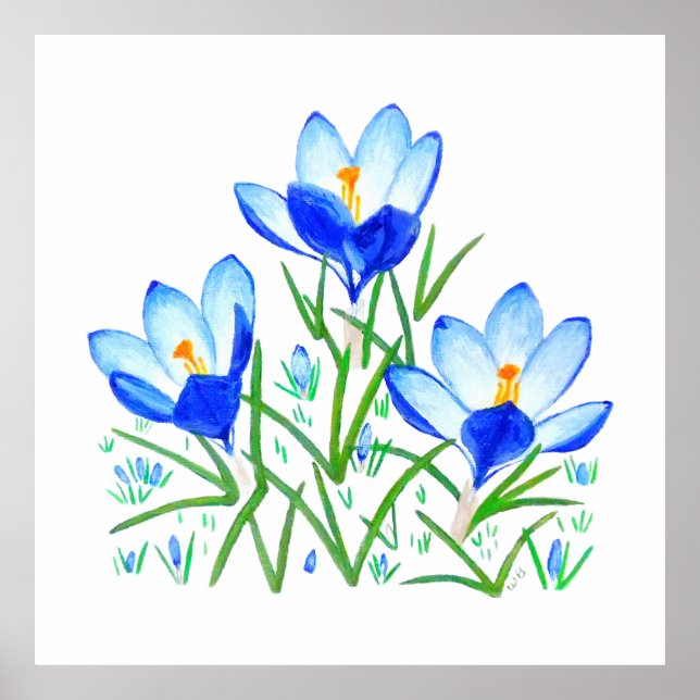 Impression de trois fleurs de crocus bleus (Devant)