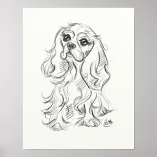 Impression d'épaniers Cavalier King  dessin