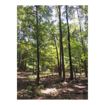 Impression des acres perdues