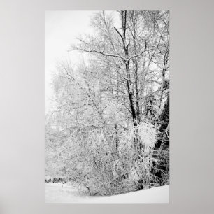 Impression des blancs d'hiver