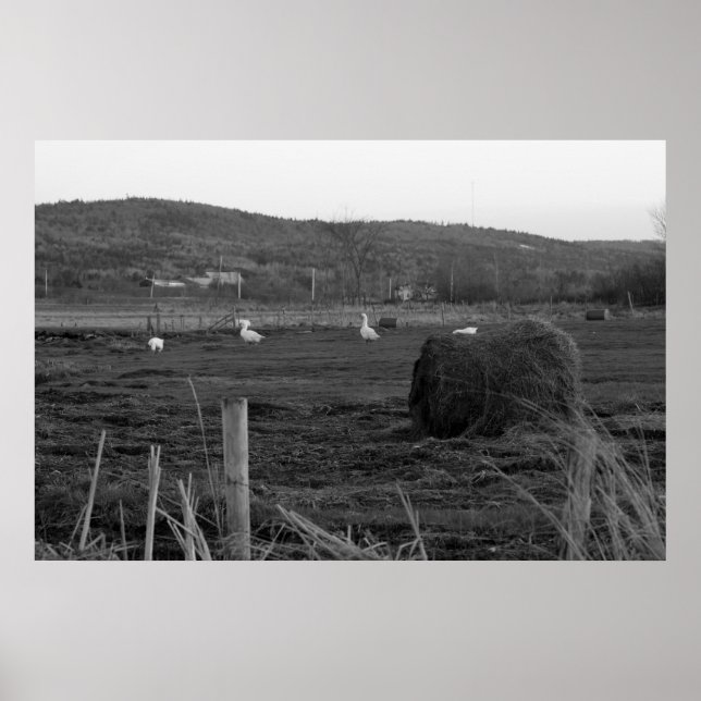 Impression des jours de foin (Devant)