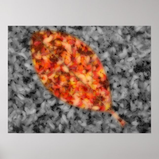 Impression des ombres lumineuses (Devant)