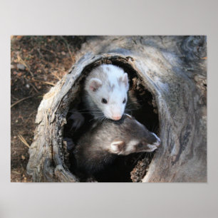 Impression des pales