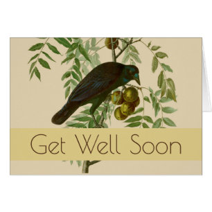 Impression d'oiseau Grackle Violet d'Audubon Botan