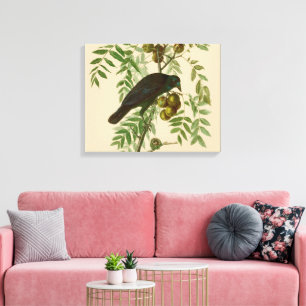 Impression d'oiseau Grackle violet d'Audubon Botan