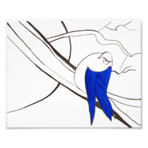 Impression d'oiseaux bleus