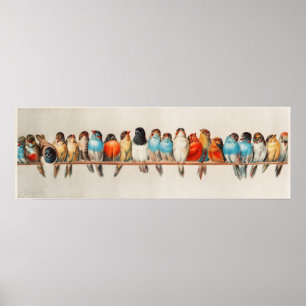 Impression d'oiseaux vintages