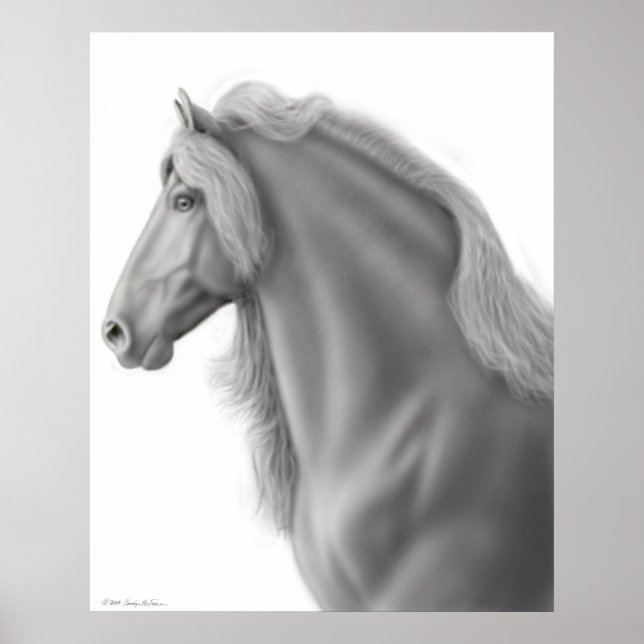 Impression du cheval friésien (Devant)