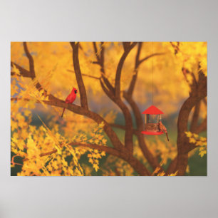 Impression du Gardien d'automne