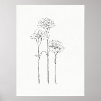 Impression d'une illustration de trois oeillets