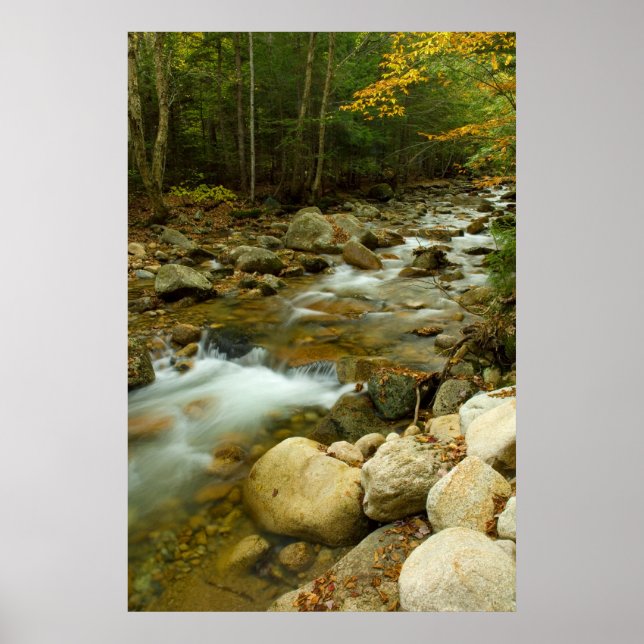 Impression en cascade de montagne (Devant)