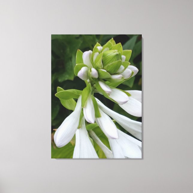 Impression en toile blanche Hostal (Recto)