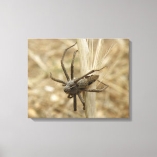 Impression en toile d'araignée déplaisante