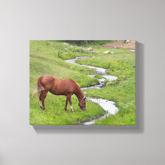 Impression en toile étirée "Mon favori" (Recto)
