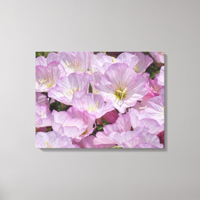 Impression en toile - Fleurs roses (Recto)