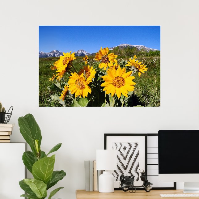 Impression encadrée d'Arrowleaf Balsamroot (Bureau à domicile)
