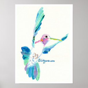 Impression et affiche de colibri