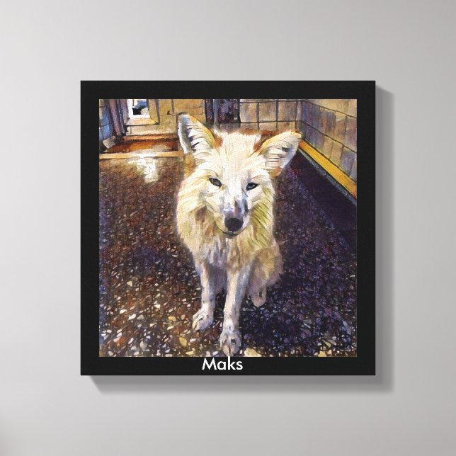 Impression FOx - Maks (Recto)