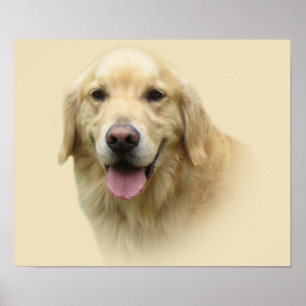 Impression Golden Retriever
