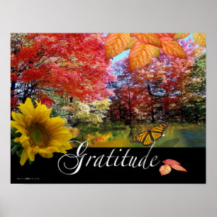 Impression Gratitude
