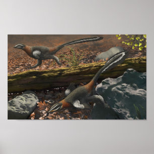 Impression longue mei