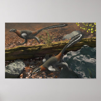 Impression longue mei