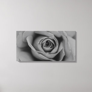 Impression monochromatique de la zone de Rose
