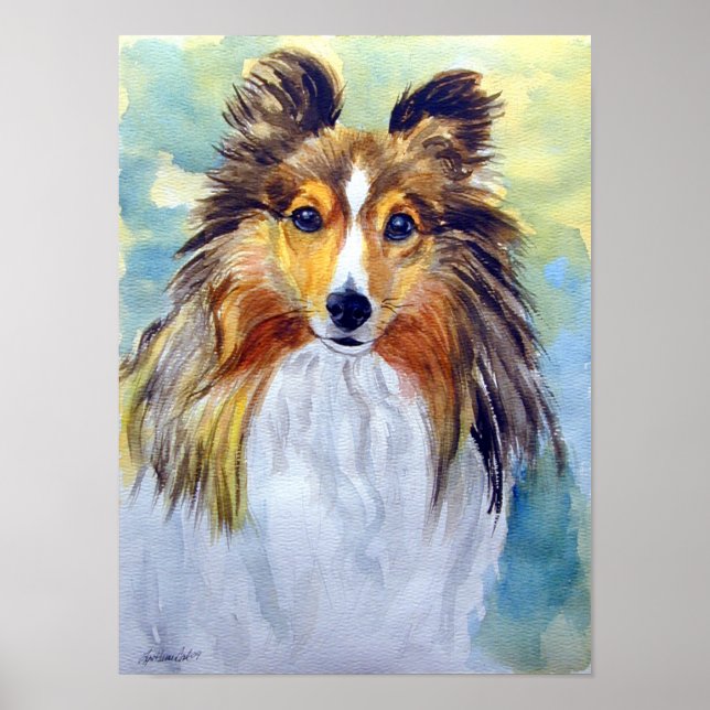 Impression murale Shetland Sheepdog (Devant)