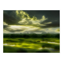 Impression Oasis Verte