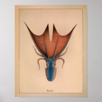 Impression octopus couleur Vintage 1851