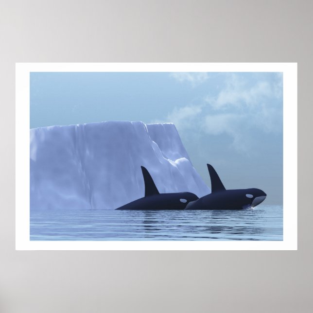 IMPRESSION ORCA (Devant)
