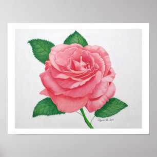 Impression Passion rose