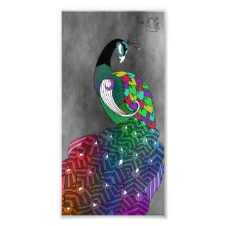 Impression Peacock Arc-en-ciel