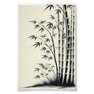 Impression Photo 竹林 水墨画 - bamboo