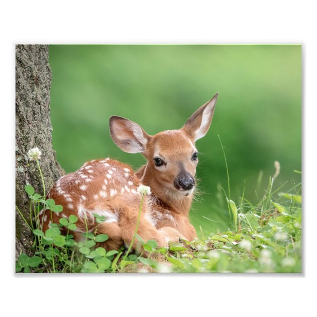 Impression Photo 10x8 Fête adorable posée sous un arbre (Devant)