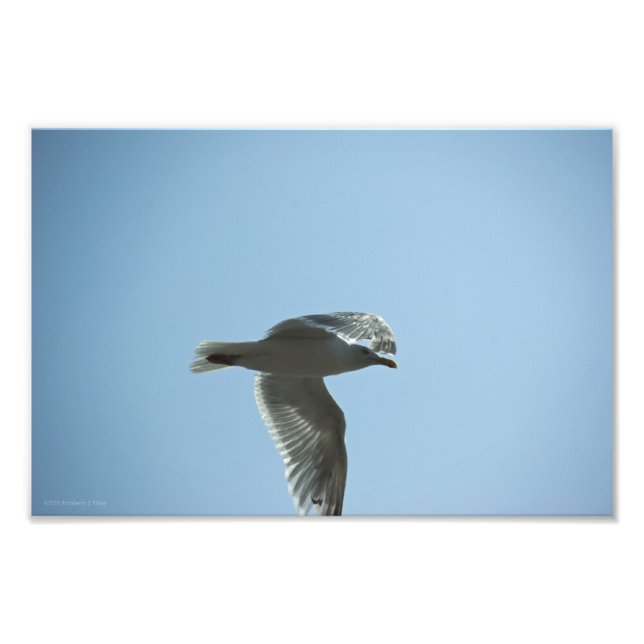 IMPRESSION PHOTO 2367 (Devant)