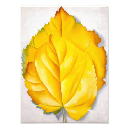 Impression Photo 2 Feuilles jaunes | Georgia O'Keeffe |