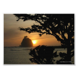 Impression Photo 5X7 La Push, Washington