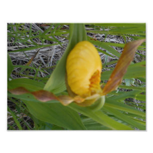 Impression photo 8,5 x 11