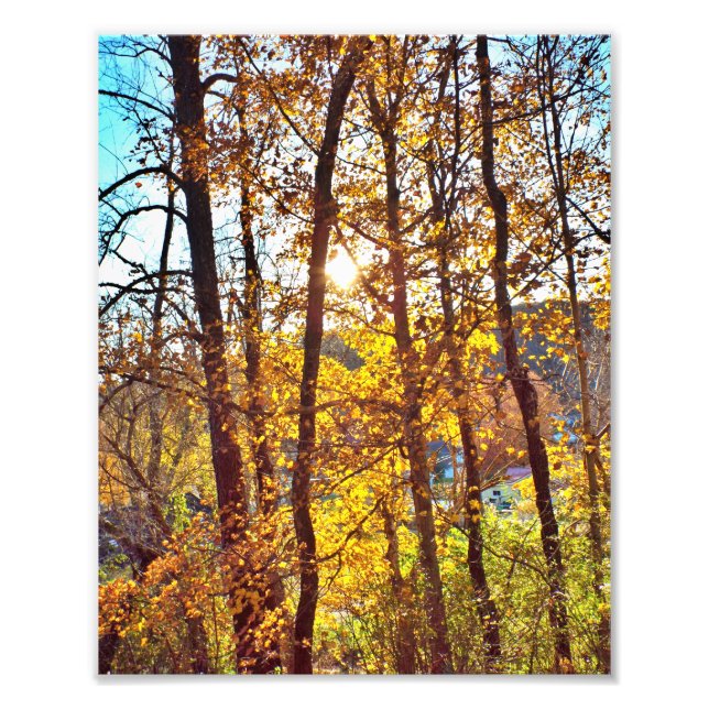 Impression Photo 8 by 10 my view (Devant)