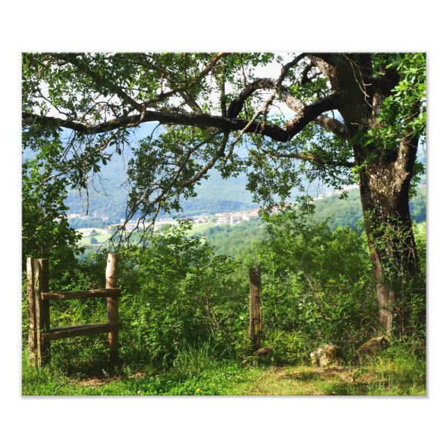 Impression Photo À travers le feuillage (Devant)